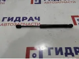 Амортизатор капота BMW 6 (F13) 51237309119.