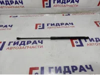 Амортизатор крышки багажника BMW 6 (F13) 51247228501.