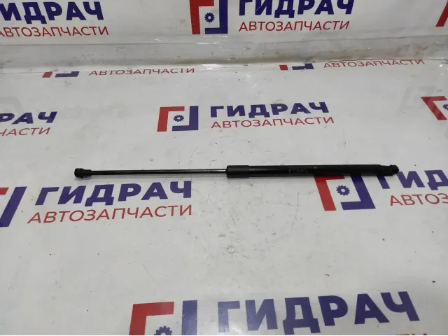 Амортизатор крышки багажника BMW 6 (F13) 51247228501.