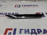 Повторитель на крыло левый BMW 6 (F13) 63137221859.