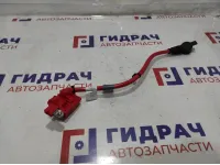 Клемма аккумулятора плюс BMW 6 (F13) 61139203570.