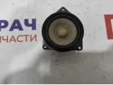Динамик в торпедо BMW 6 (F13) 65139169689.