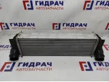 Интеркулер BMW 6 (F13) 17517605664.