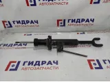 Амортизатор передний левый BMW 6 (F13) 31316789659.