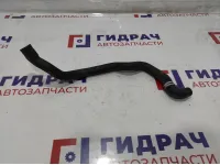 Патрубок системы охлаждения BMW 6 (F13) 64219169918.