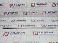 Накладка стекла двери левой BMW 6 (F13) 51337275789.