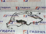 Проводка двери правой BMW 6 (F13) 61129282078.