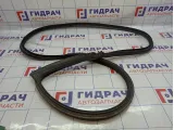 Уплотнитель дверного проема левый BMW 6 (F13) 51767268799.