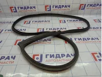 Уплотнитель дверного проема левый BMW 6 (F13) 51767268799.