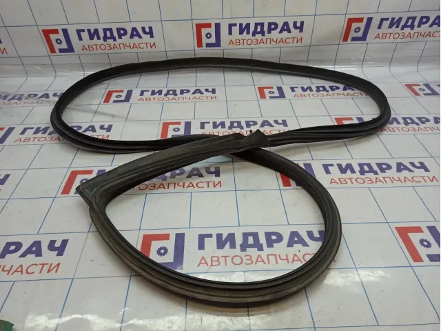 Уплотнитель дверного проема левый BMW 6 (F13) 51767268799.