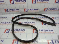 Уплотнитель дверного проема правый BMW 6 (F13) 51767268800.