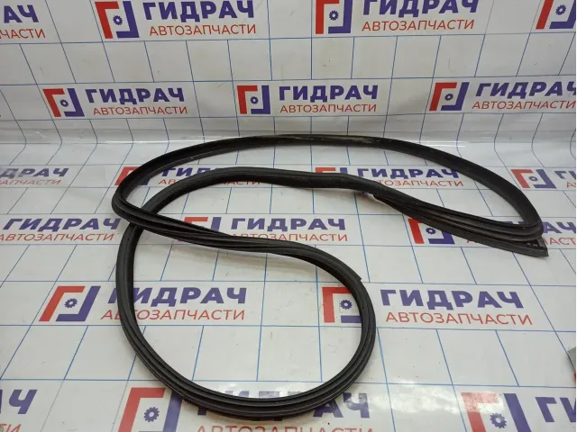 Уплотнитель дверного проема правый BMW 6 (F13) 51767268800.