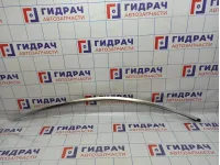 Молдинг крыши левый BMW 6 (F13) 51767275791. На кузов.