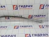 Молдинг крыши правый BMW 6 (F13) 51767275792. На кузов.
