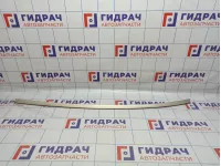 Молдинг крыши левый BMW 6 (F13) 51137302971.