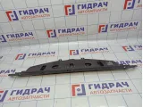 Панель передняя BMW 6 (F13) 51647200689.