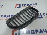 Решетка радиатора левая BMW 6 (F13) 51137212849.