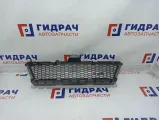 Решетка в бампер центральная BMW 6 (F13) 51117211471.