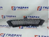 Решетка в бампер центральная BMW 6 (F13) 51117211471.