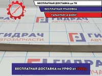 Уплотнитель стекла заднего левый BMW 6 (E63) 51377025577.