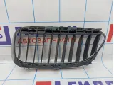 Решетка радиатора правая BMW 6 (E63) 51137008916. Дефект хрома.