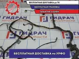 Проводка двери передней левой BMW 6 (E63) 61126973897.