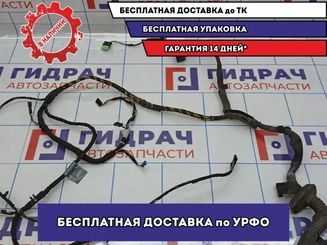 Проводка двери передней левой BMW 6 (E63) 61126973897.