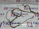 Проводка двери передней левой BMW 6 (E63) 61126973897.