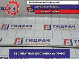 Молдинг стекла двери передней левой BMW 6 (E63) 51337008569. Внешний.