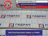 Молдинг стекла двери передней левой BMW 6 (E63) 51337008569. Внешний.