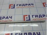 Молдинг стекла двери передней левой BMW 6 (E63) 51337008569. Внешний.
