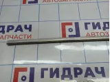 Молдинг стекла двери передней левой BMW 6 (E63) 51337008569. Внешний.