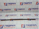 Молдинг стекла двери передней левой BMW 6 (E63) 51337008569. Внешний.
