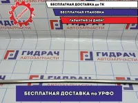 Молдинг стекла двери передней левой BMW 6 (E63) 51337008570. Внешний.