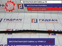 Уплотнитель стекла двери передней левой BMW 6 (E63) . Внутренний.