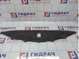 Кожух замка капота BMW 6 (E63) 51647046420.