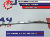 Молдинг крыла передний правый BMW 6 (E63) . Дефект креплений.Дефект хрома.