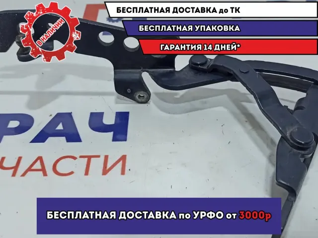 Петля капота правая BMW 6 (E63) 41617210670.