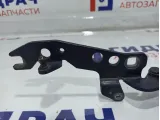 Петля капота правая BMW 6 (E63) 41617210670.