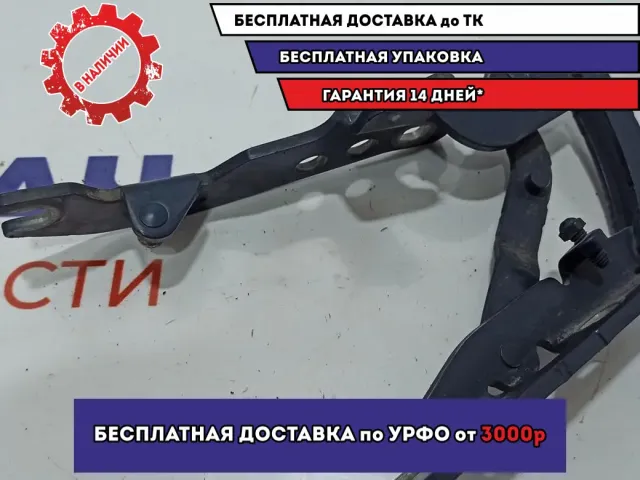Петля капота левая BMW 6 (E63) 41617210669.