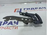 Петля капота левая BMW 6 (E63) 41617210669.