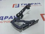 Петля капота левая BMW 6 (E63) 41617210669.