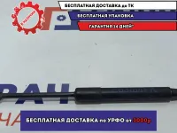 Амортизатор капота BMW 6 (E63) 51237070670.