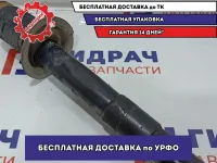 Амортизатор передний BMW 6 (E63) 22-221490. BILSTEIN.