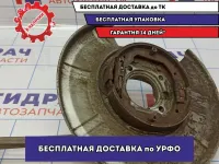 Кулак поворотный задний левый BMW 6 (E63) 33326775079.