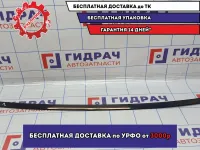 Молдинг крыши левый BMW 6 (E63) 51137145189.