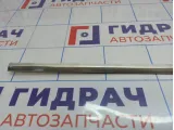 Молдинг стекла заднего левого BMW 6 (E63) 51377008575.