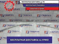 Молдинг крыши левый BMW 6 (E63) 51767008583. Над дверью.