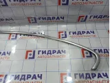 Молдинг крыши левый BMW 6 (E63) 51767008583. Над дверью.