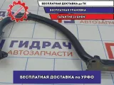 Петля крышки багажника левая BMW 6 (E63) 41627175303.
